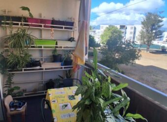 À louer un appartement F2 de 53m2 proche du centre ville du Port Réunion