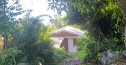 À vendre un terrain de 1012m2 offrant vue sur mer dans le quartier de Bois Rouge à Saint Paul Réunion