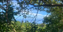À vendre un terrain de 1012m2 offrant vue sur mer dans le quartier de Bois Rouge à Saint Paul Réunion