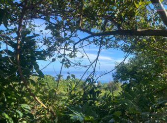 À vendre un terrain de 1012m2 offrant vue sur mer dans le quartier de Bois Rouge à Saint Paul Réunion