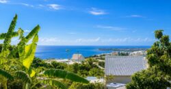 À vendre une superbe villa familiale T4 avec studio indépendant sur un terrain de 421 m2 située à Plateau Caillou Réunion