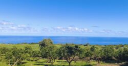 À louer une superbe villa neuve jumelée de type F4 avec vue mer située à Petite-Île Réunion
