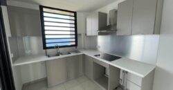 À louer un appartement T4 neuf offrant vue mer et montagne à Saint Leu Réunion