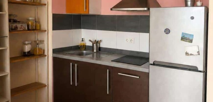 À vendre un studio de 21 m² vendu loué avec parking et terrasse à Montgaillard Réunion
