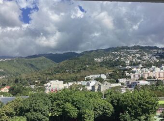 À vendre appartement T2 de 45 m² avec parking à la Résidence Les Flamboyants Saint Denis Réunion