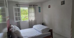 Location d’une villa F4 meublée de plain-pied avec cour clôturée à La Plaine-des-Palmistes Réunion
