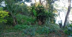 À vendre un terrain de 374 m² situé à Bernica, Saint-Gilles-les-Hauts Réunion