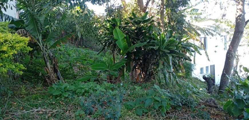 À vendre un terrain de 374 m² situé à Bernica, Saint-Gilles-les-Hauts Réunion
