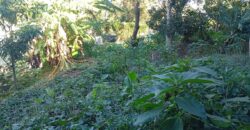 À vendre un terrain de 374 m² situé à Bernica, Saint-Gilles-les-Hauts Réunion