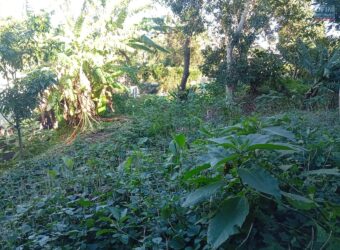 À vendre un terrain de 374 m² situé à Bernica, Saint-Gilles-les-Hauts Réunion