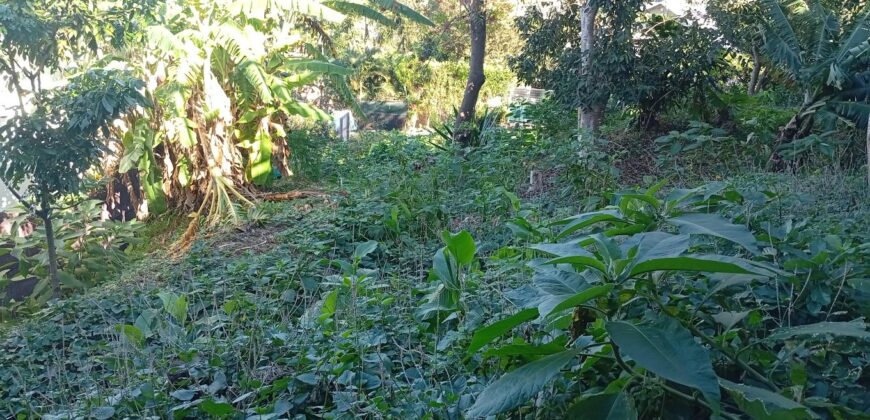 À vendre un terrain de 374 m² situé à Bernica, Saint-Gilles-les-Hauts Réunion