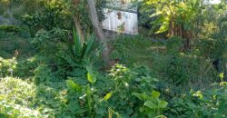 À vendre un terrain de 374 m² situé à Bernica, Saint-Gilles-les-Hauts Réunion