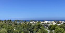 À vendre un ensemble immobilier situé au sein de la résidence Les Floralies à Saint-Gilles-les-Bains Réunion