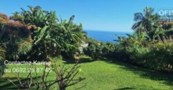 À vendre une agréable maison familiale avec vue mer au calme à La Montagne Réunion