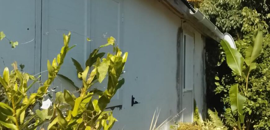 À vendre une villa T3/4 rénovée sur un terrain de 413 m2 située proche de Saint Pierre Réunion