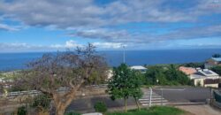 À louer une spacieuse maison F4 duplex avec jardin arboré à Piton Saint-Leu Réunion