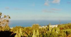 À vendre  maison en duplex F4 à rénover à 5 minutes du centre de Petite-Île Réunion