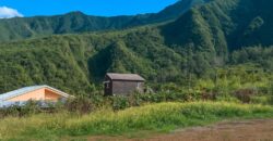 À vendre un terrain constructible de 493 m² situé dans le quartier des Makes à La Rivière Saint-Louis Réunion