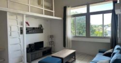 À louer un superbe appartement T2 meublé de 49 m2 situé en plein coeur de Saint Pierre, Réunion
