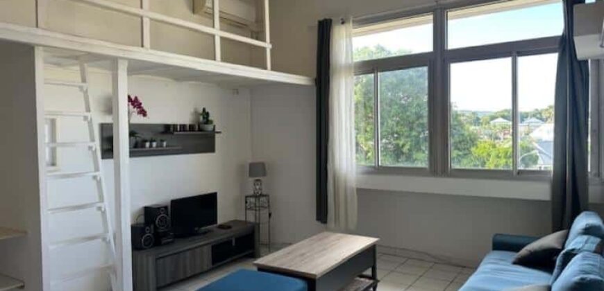 À louer un superbe appartement T2 meublé de 49 m2 situé en plein coeur de Saint Pierre, Réunion