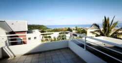 En vente charmant studio de 29.57 m2 avec vue mer et montagne situé à Saint Joseph Réunion