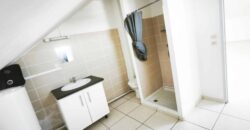 En vente charmant studio de 29.57 m2 avec vue mer et montagne situé à Saint Joseph Réunion