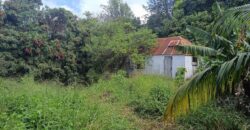 À vendre une vaste parcelle plate et arborée de 1268 m2 dont 1104 m2 constructible située au Tampon Réunion