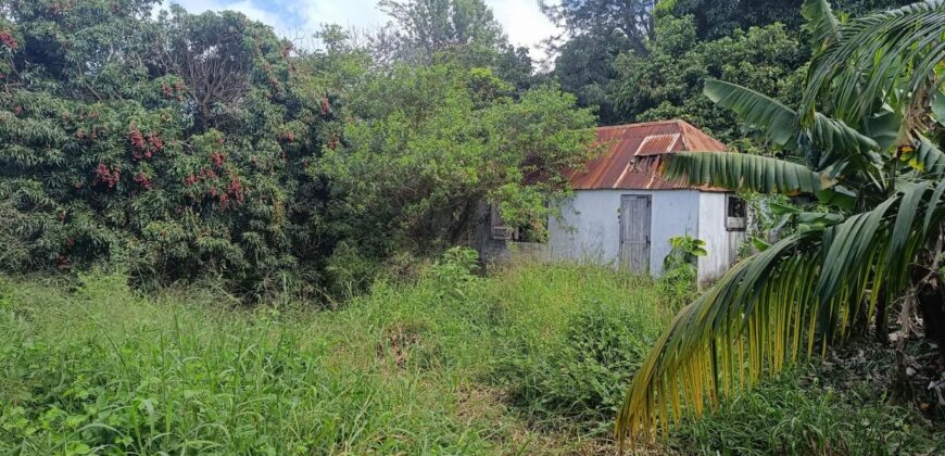 À vendre une vaste parcelle plate et arborée de 1268 m2 dont 1104 m2 constructible située au Tampon Réunion