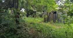 À vendre une vaste parcelle plate et arborée de 1268 m2 dont 1104 m2 constructible située au Tampon Réunion