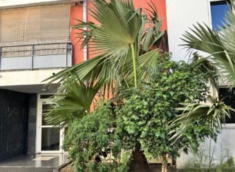 À louer agréable appartement T2 de 53.06 m2 situé dans la résidence INAIS à Sainte-Clotilde Réunion