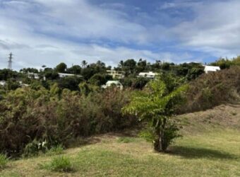 À louer appartement T2 dans le secteur recherché de la Colline des Camélias à Saint-Denis Réunion