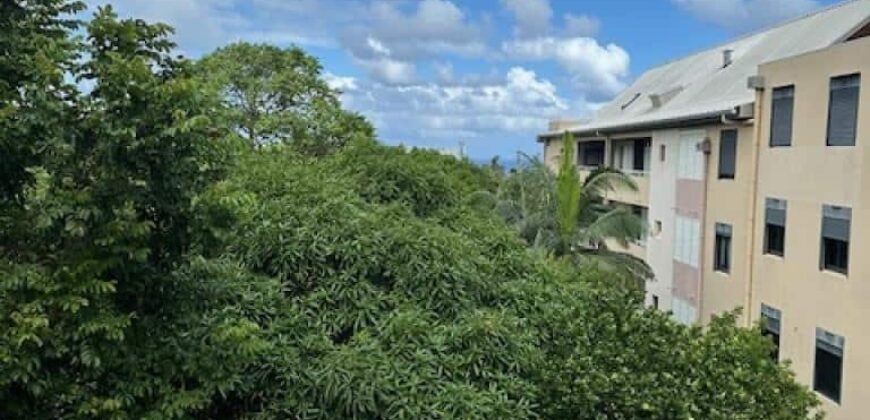 À louer un agréable apprêtent T3 de 68 m2 situé en plein centre-ville de Saint-Pierre Réunion