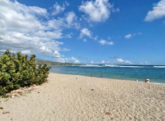Exclusivité OFIM –  À vendre un agréable appartement T2 meublé avec jardin privatif à 200 m du lagon à La Saline-les-Bains Réunion