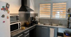 Exclusivité OFIM –  À vendre un agréable appartement T2 meublé avec jardin privatif à 200 m du lagon à La Saline-les-Bains Réunion