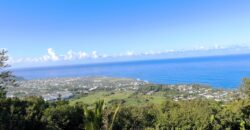 À vendre une villa T4 rénovée de 140 m2 située face à la baie de Manapany-les-Bains à Saint-Joseph Réunion