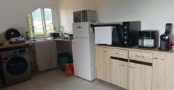 En vente un ensemble immobilier de 290 m² sur une parcelle de 607 m² situé à La Plaine-des-Palmistes Réunion