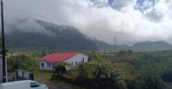 En vente un ensemble immobilier de 290 m² sur une parcelle de 607 m² situé à La Plaine-des-Palmistes Réunion