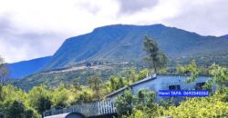 À vendre une grande villa de 160 m2 T5 sur un terrain de 800 m2 située à Grand-Coude Saint-Joseph Réunion