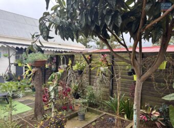 À vendre un ensemble immobilier composé de 5 logements dans le quartier recherché de Notre-Dame-des-Champs Saint Leu Réunion