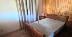 Location d’une maison en chalet en bois moderne avec jardin et vue montagne à La Plaine-des-Palmistes Réunion
