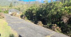 Location d’une maison en chalet en bois moderne avec jardin et vue montagne à La Plaine-des-Palmistes Réunion