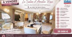 À vendre salon de coiffure & esthétique Amelie Rose situé au cœur de Saint-Pierre Réunion