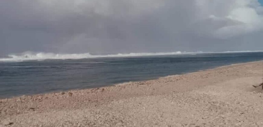 OFIM Sud propose cette villa T4 créole avec dépendance en vente située à Saint Pierre Réunion