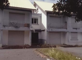 OFIM sud propose à la vente un immeuble de 8 lots à rafraîchir situé à La Ligne Paradis Réunion