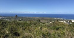 Vente terrain de 621 m2 arpenté uniquement pour un projet touristique/loisir avec pleine vue mer situé aux Avirons Réunion