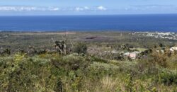 Vente terrain de 621 m2 arpenté uniquement pour un projet touristique/loisir avec pleine vue mer situé aux Avirons Réunion