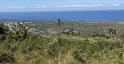 Vente terrain de 621 m2 arpenté uniquement pour un projet touristique/loisir avec pleine vue mer situé aux Avirons Réunion