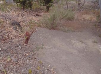En vente un terrain constructible de 230 m2 en zone U3 situé à La Ravine des Cabris Réunion
