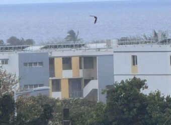 À vendre un appartement de type F3 proche des commerces à Sainte Clotilde Réunion