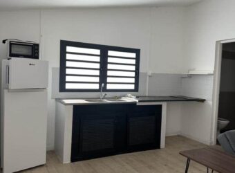 À louer un agréable T2 meublé de 44 m2 situé à la Ligne Paradis, à Saint-Pierre Réunion